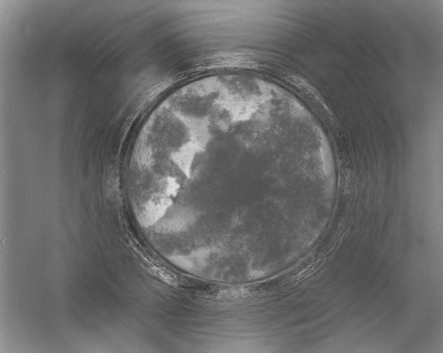 X0000056370882200509232155