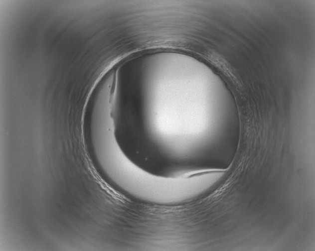 X0000056370884200509232155