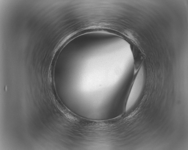 X0000056370885200509232155