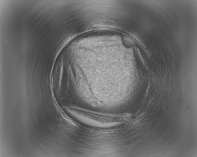 X0000056370891200509232155
