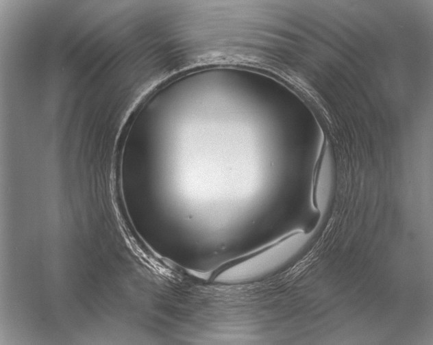 X0000056370896200509232155
