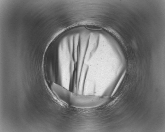 X0000056370902200509232155