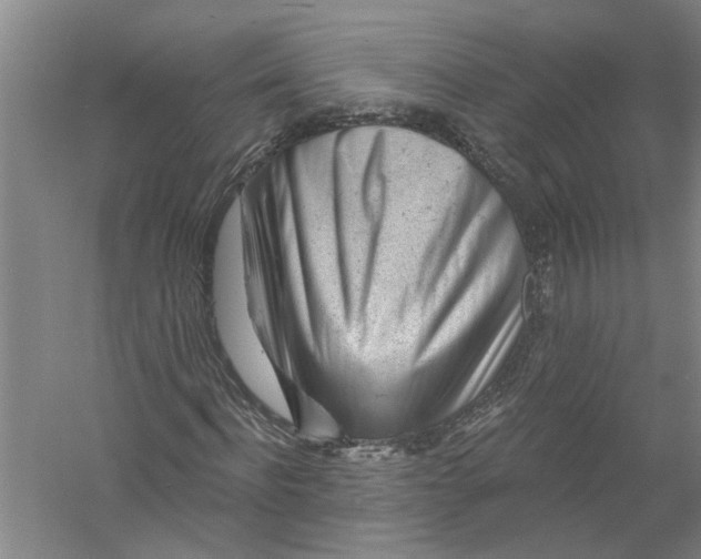 X0000056370916200509232154