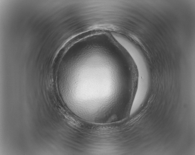 X0000056370923200509232154