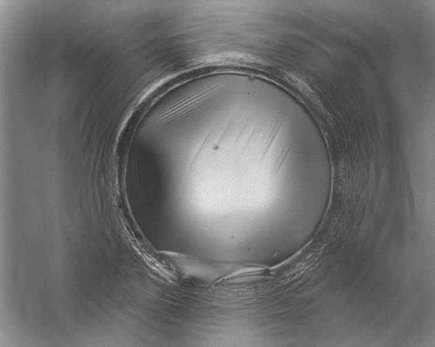 X0000056370931200509232154