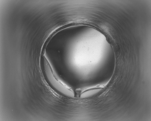 X0000056370932200509232154