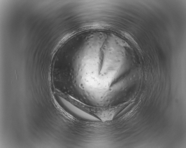 X0000056370938200509232155