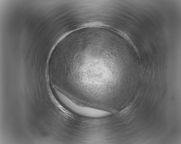 X0000056370939200509232155