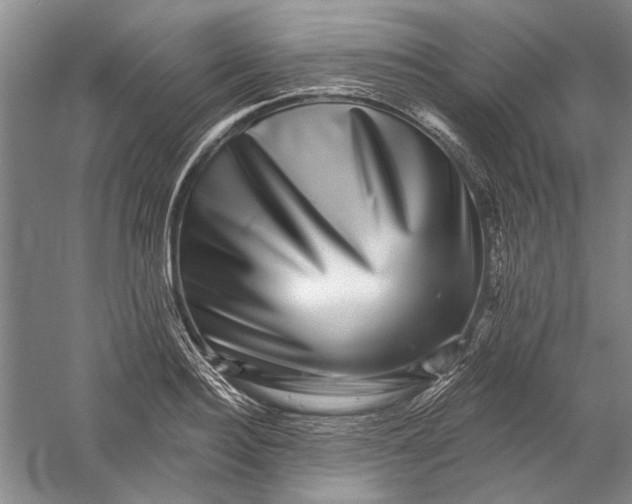 X0000056370940200509232155