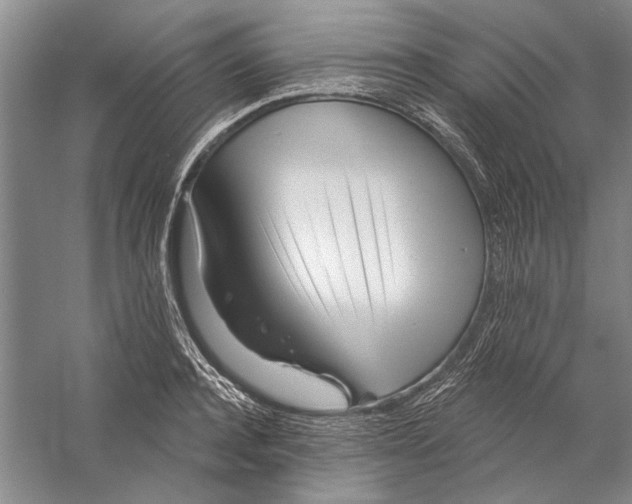 X0000056370944200509232155