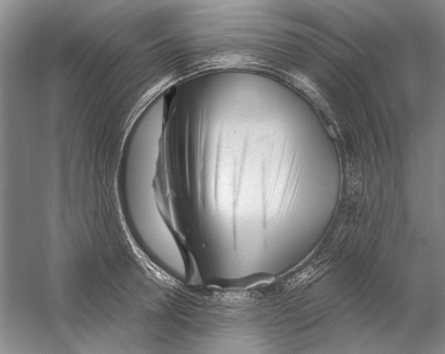 X0000056370946200509232155