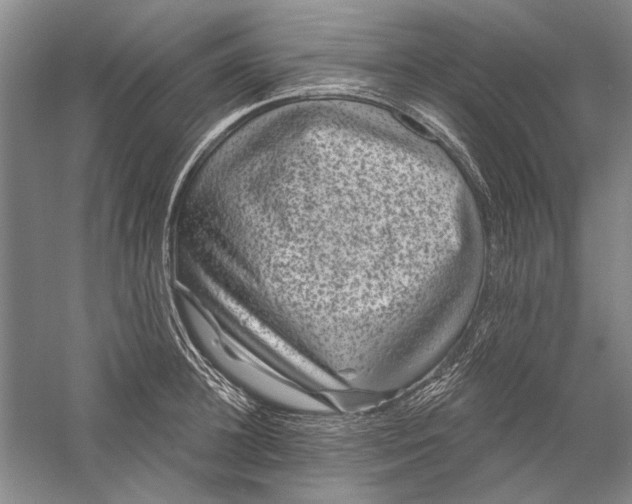 X0000056370948200509232155