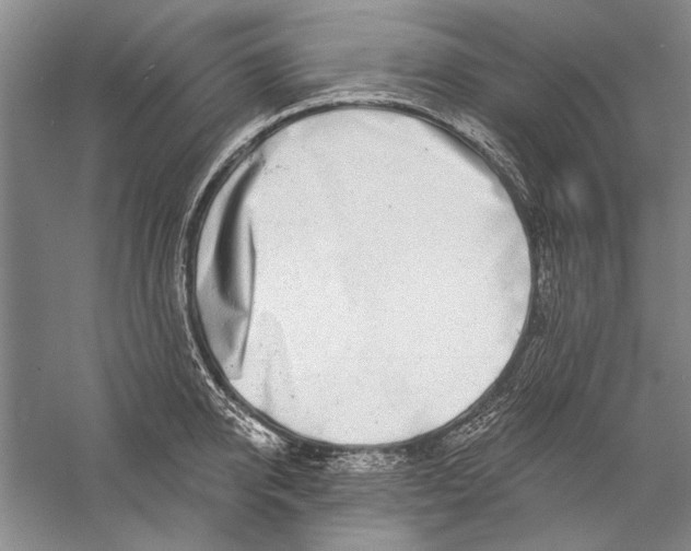 X0000056370950200509232155