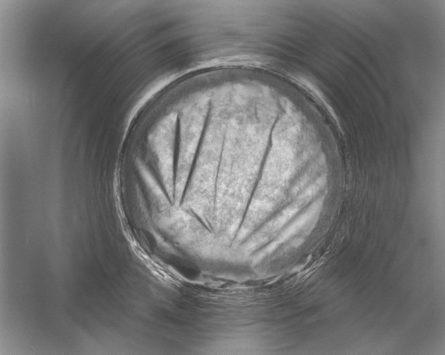 X0000056370952200509232155