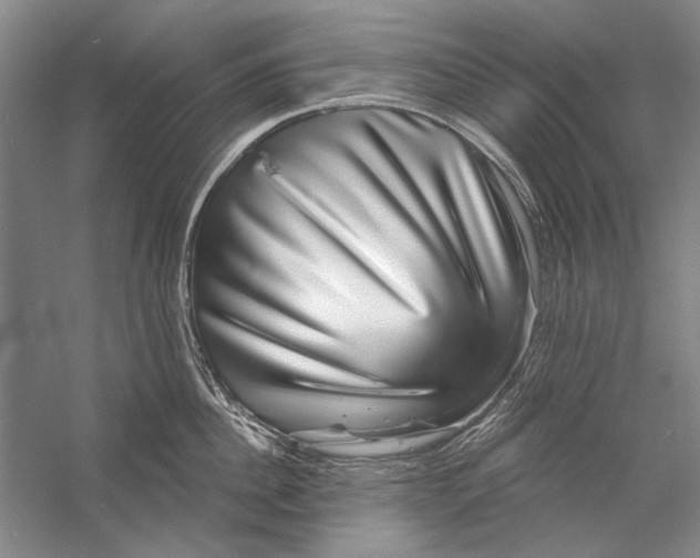X0000056370956200509232155