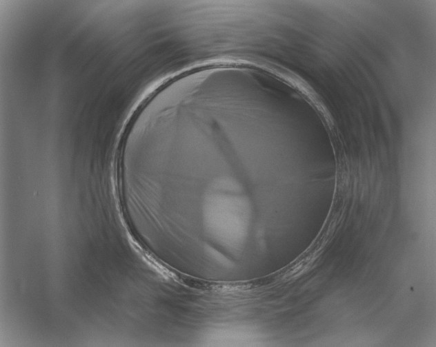 X0000056370958200509232155