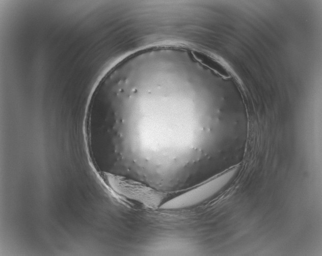 X0000056370959200509232155