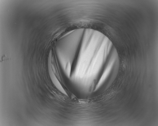 X0000056370964200509232154