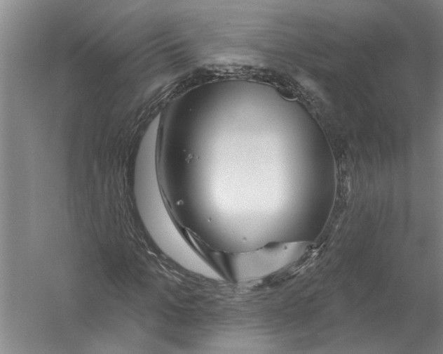 X0000056370965200509232154