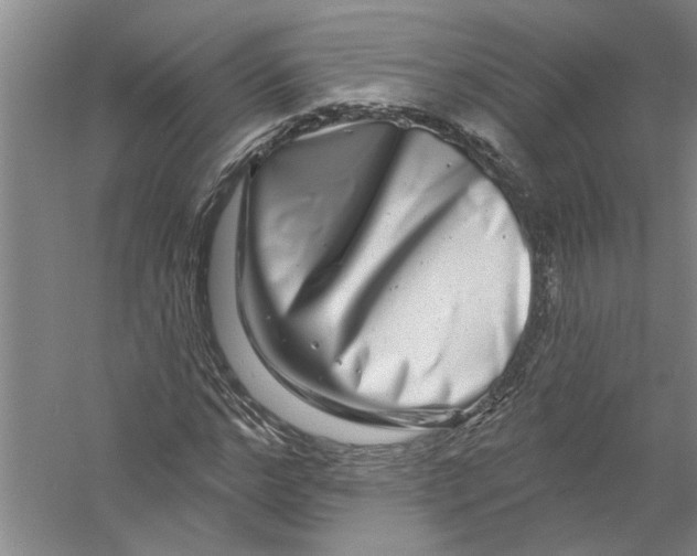 X0000056370968200509232154