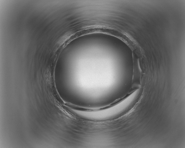 X0000056370969200509232154