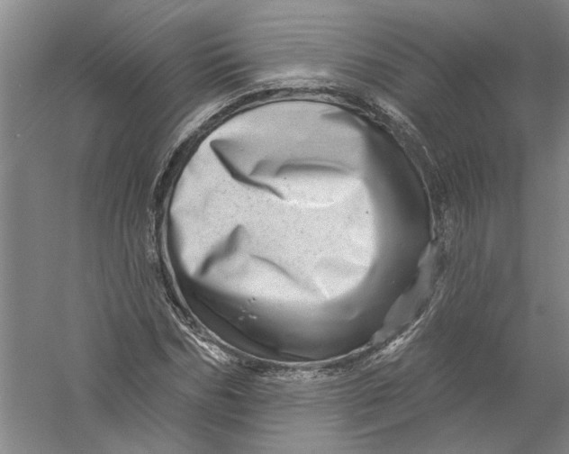 X0000056370970200509232154