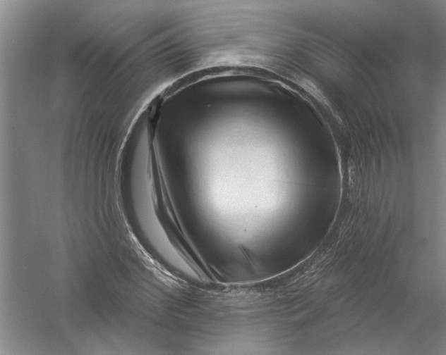 X0000056370972200509232154