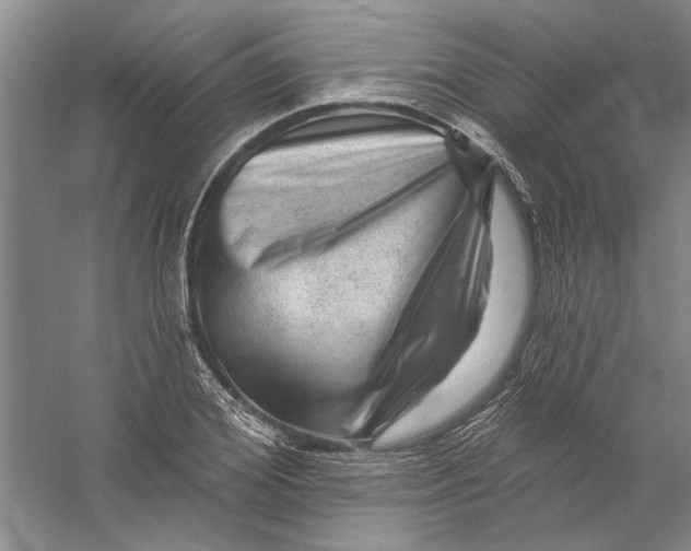 X0000056370980200509232154