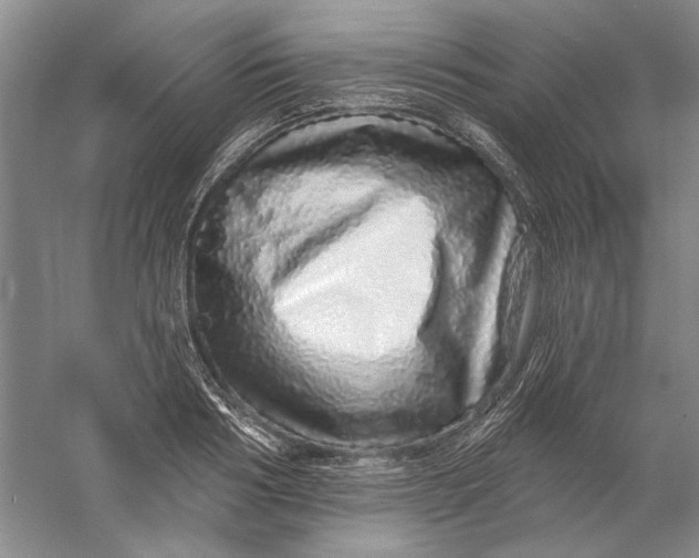 X0000056370986200509232154