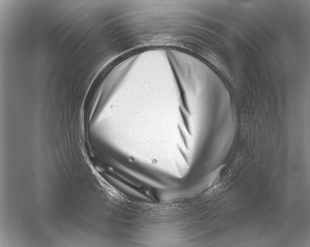 X0000056370988200509232154