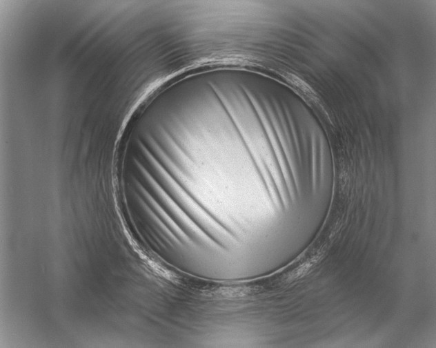 X0000056370989200509232154