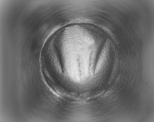 X0000056370990200509232154