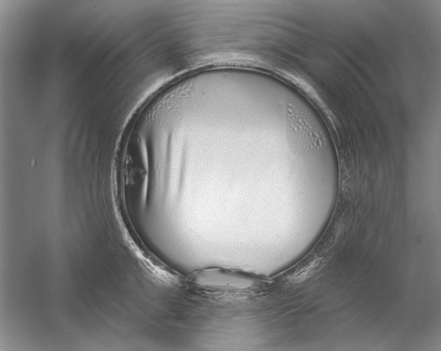 X0000056370999200509232153