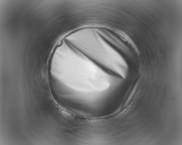 X0000056371004200509232153