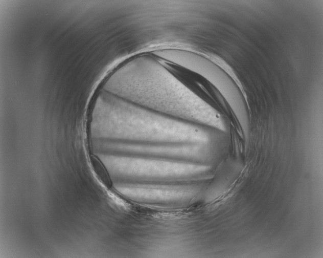X0000056371005200509232153