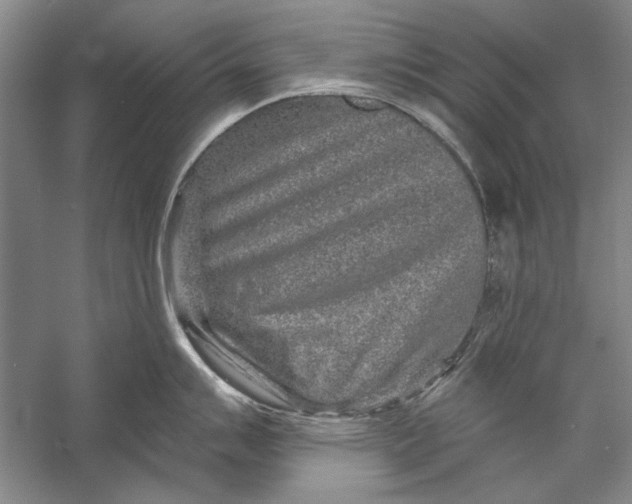 X0000056371007200509232153