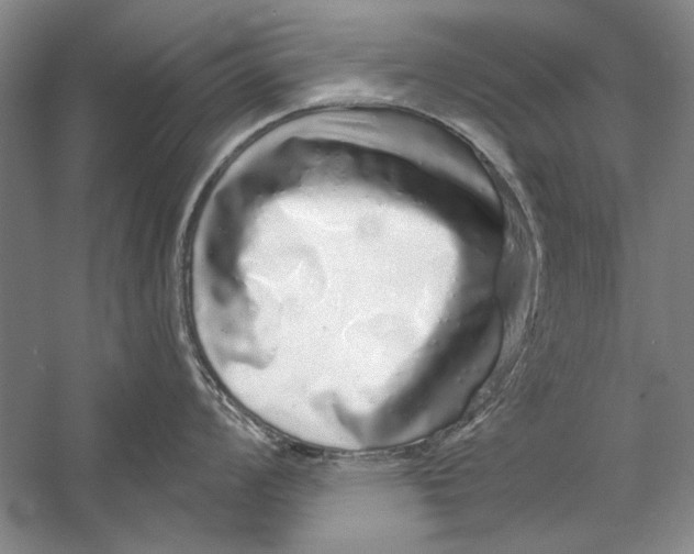 X0000056371008200509232153