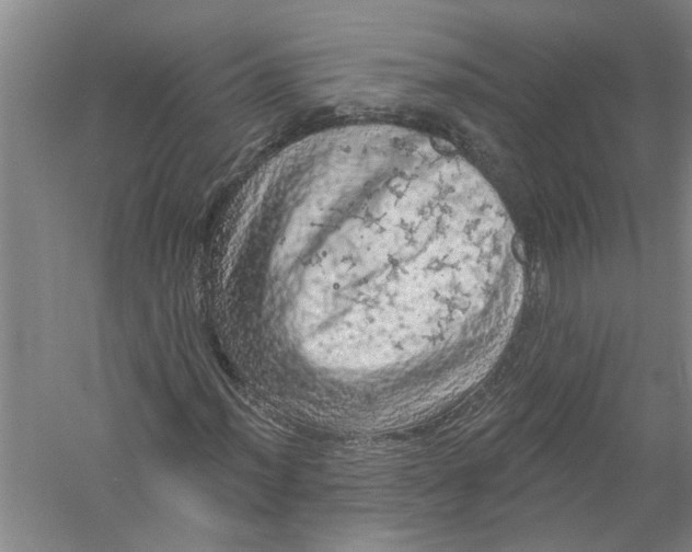 X0000056371012200509232153