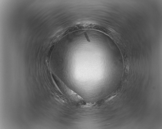 X0000056371014200509232153