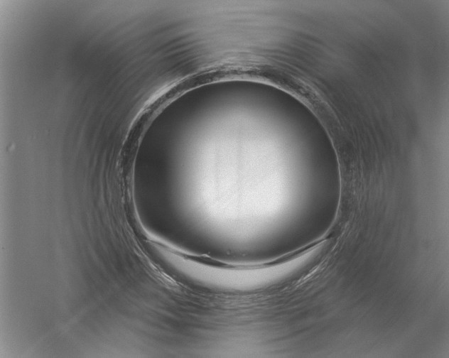 X0000056371018200509232153