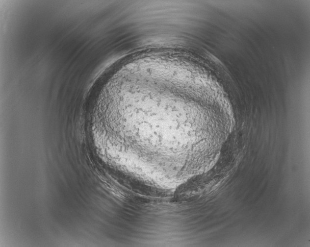 X0000056371019200509232153