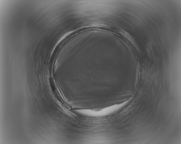 X0000056371024200509232153