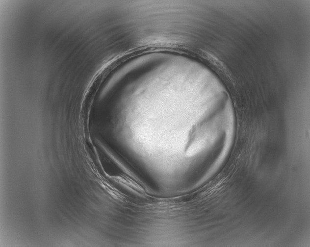 X0000056371027200509232153