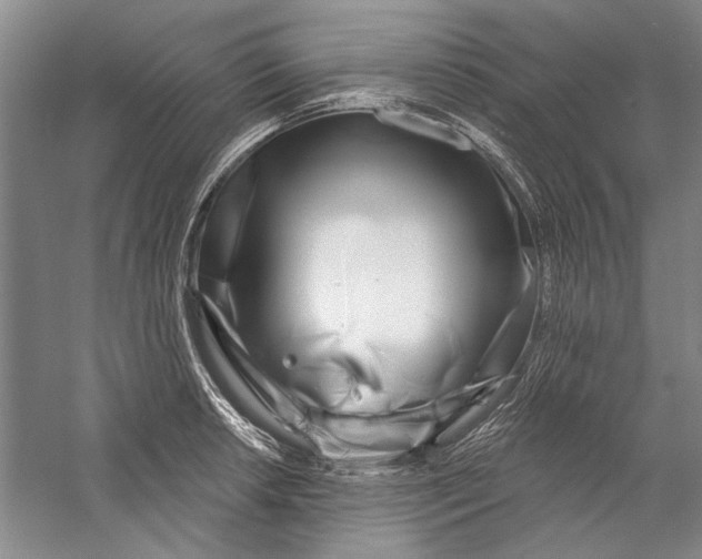 X0000056371042200509232153