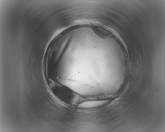 X0000056371045200509232153