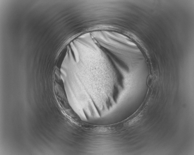 X0000056371049200509232153