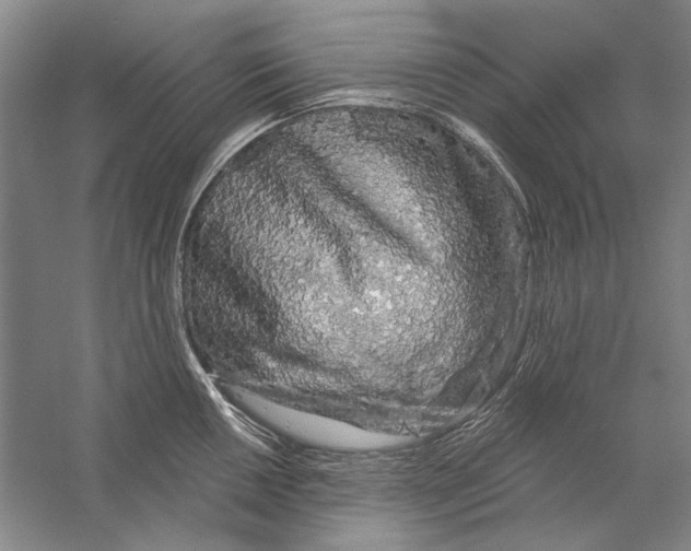 X0000056371050200509232153