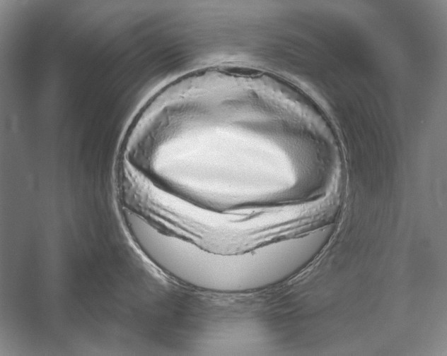 X0000056371056200509232153