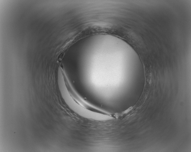 X0000056371061200509232152