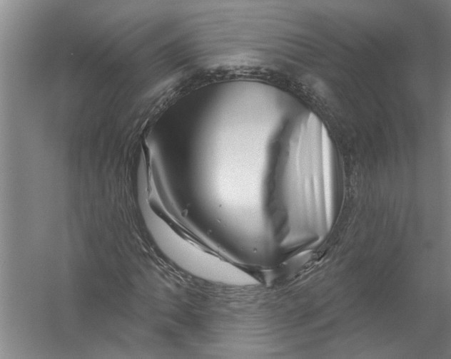 X0000056371062200509232152